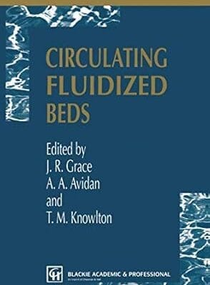 Circulating Fluidized Beds
