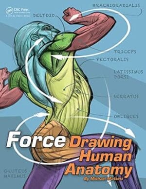 FORCE: Drawing Human Anatomy (Force Drawing Series)