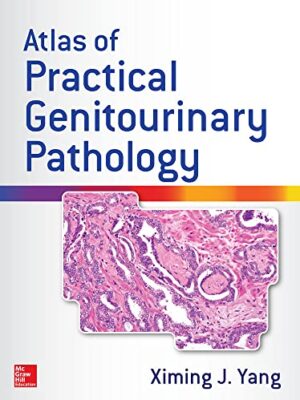 Atlas Of Practical Genitourinary Pathology 1st Edition