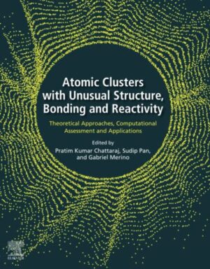 Atomic Clusters With Unusual structure, Bonding And Reactivity: Theoretical Approaches, Computational Assessment And Applications