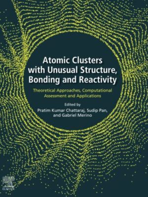 Atomic Clusters With Unusual structure, Bonding And Reactivity: Theoretical Approaches, Computational Assessment And Applications