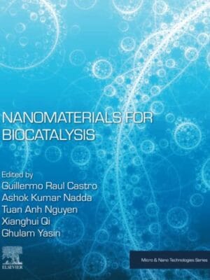 Nanomaterials For Biocatalysis Micro And Nano Technologies 1st Edition