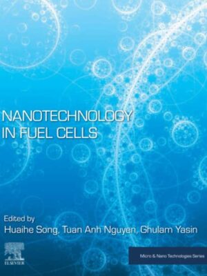 Nanotechnology In Fuel Cells Micro And Nano Technologies