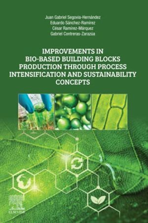 Improvements In Bio-Based Building Blocks Production through Process Intensification And SuStainability Concepts 1st Edition