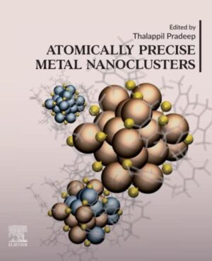 Atomically Precise Metal Nanoclusters 1st Edition