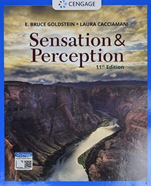 Sensation And Perception Paperback