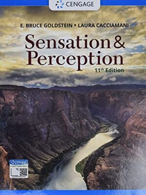 Sensation And Perception Paperback