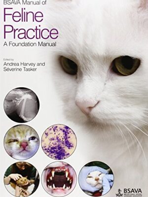 Bsava Manual Of Feline Practice: A Foundation Manual 1st Edition