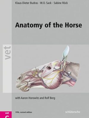 Anatomy Of The Horse, Fifth, Revised Edition 5th Edition