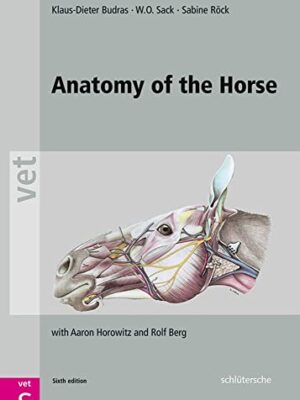 Anatomy Of The Horse 6th Edition