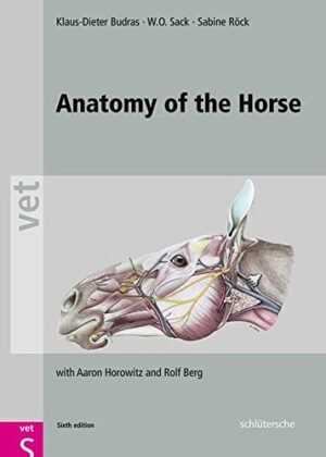 Anatomy Of The Horse 6th Edition