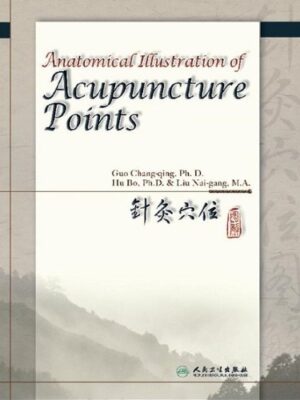 Anatomical Illustration Of Acupuncture Points 1st Edition